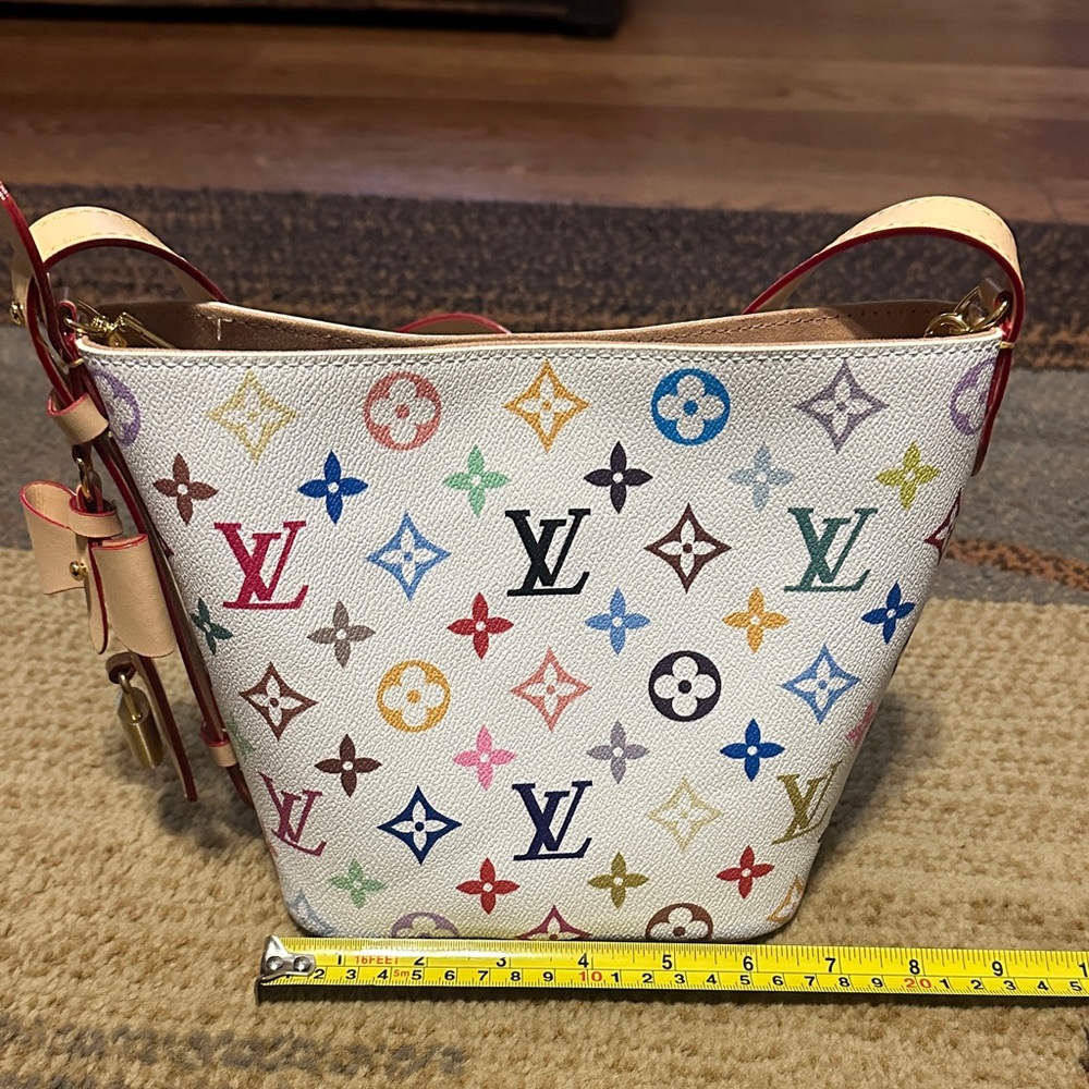 Multicolor Bucket Women's Bag